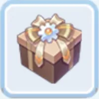 Gram Dust Supply Giftbox