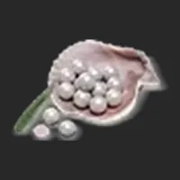 1,015 Echo Beads