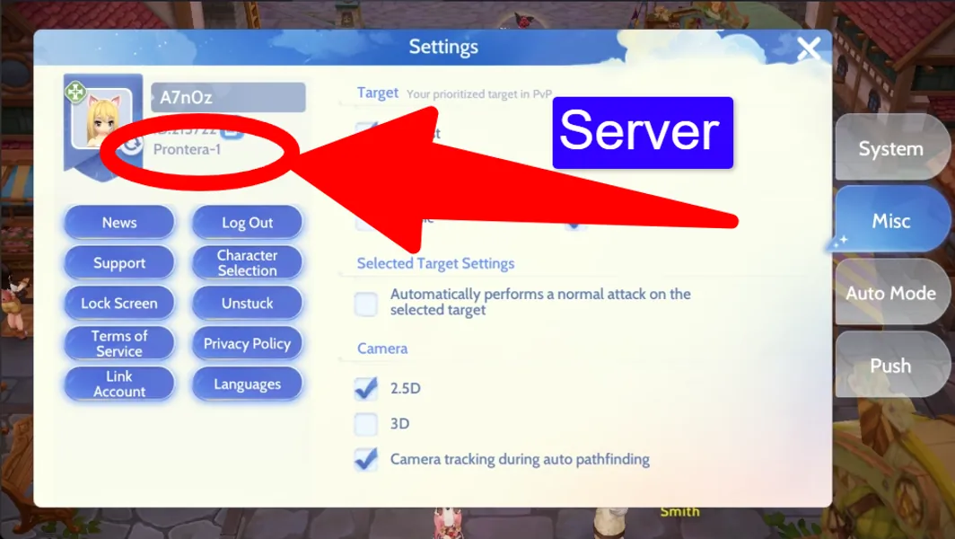 Server Screenshot